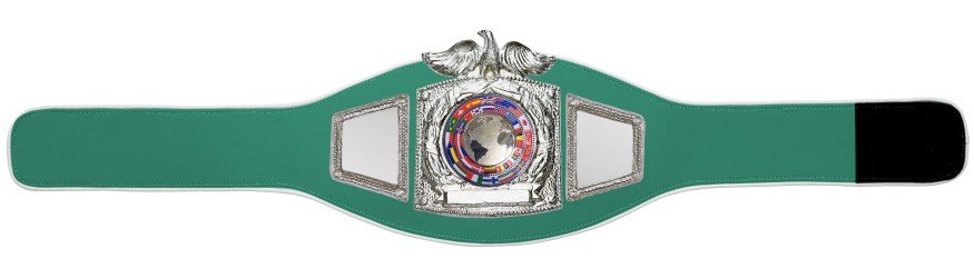 PROEAGLE SILVER WORLD FLAGS CHAMPIONSHIP BELT - PROEAGLE/S/FLAGS - AVAILABLE IN 6+ COLOURS